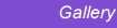 gallery.gif (484 bytes)
